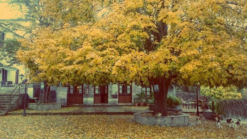 Villa Armonia Neochori  Exteriör bild